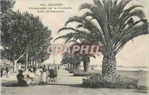 Ansichtskarte AK Cannes Promenade de la Croisette Allee de Palmiers