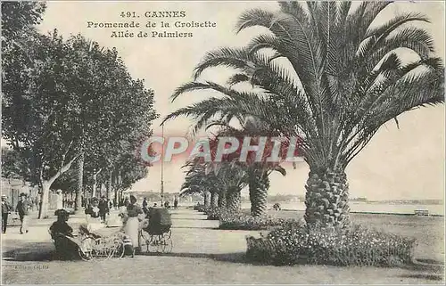 Cartes postales Cannes Promenade de la Croisette Allee de Palmiers
