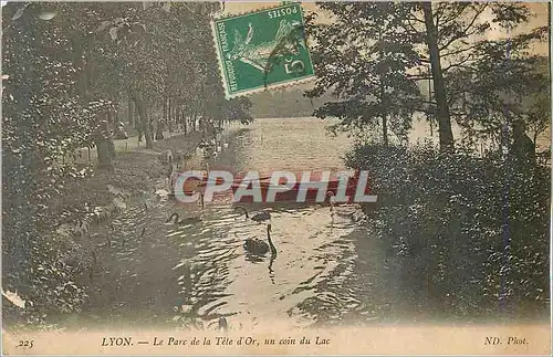 Cartes postales Lyon Le Parc de la Tete d Or un coin du Lac