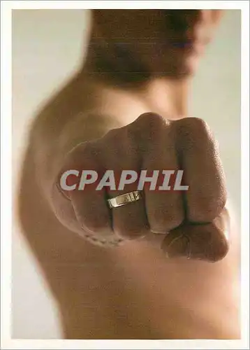 Cartes postales moderne Cart com se niche dans les repaires cart com repere les talents