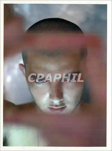 Cartes postales moderne Cart com se niche dans les repaires Cart com repere les talents