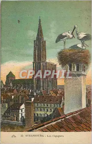 Cartes postales Strasbourg Les Cigognes