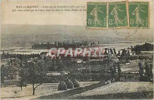 Cartes postales Bas en Basset L Ile de la Garenne Joli oasis forme par la Loire dans la vaste et belle Plaine de