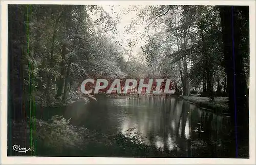 Cartes postales moderne Pougues les Eaux Nievre Le Lac