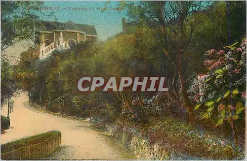 Cartes postales Biarritz Tamaris et hortensias