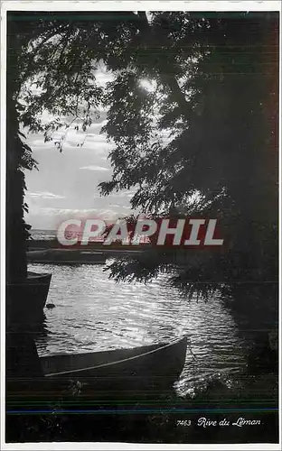 Cartes postales moderne Rive du Leman