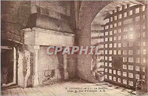 Cartes postales Loches I et L Le Donjon Cage du DUc d Alencon