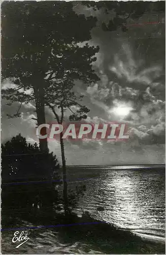 Cartes postales moderne Ile de Re Chte Mme Un beau Coucher de Soleil