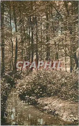 Cartes postales Saint Vincent du Lorouer Sarthe Foret de Berce Le Gue a l Hermitiere