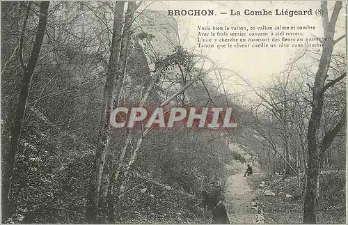 Cartes postales Brochon La Combe Liegeard