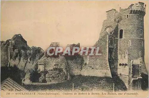 Cartes postales Moulineaux (Seine Inferieure) Chateau de Robert le Diable Les Ruines vue d'ensemble