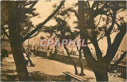 Cartes postales Fouras Plage des Sapinettes