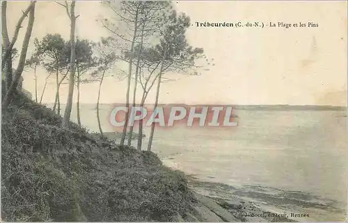 Cartes postales Trebeurden (C du N) La Plage et les Pins