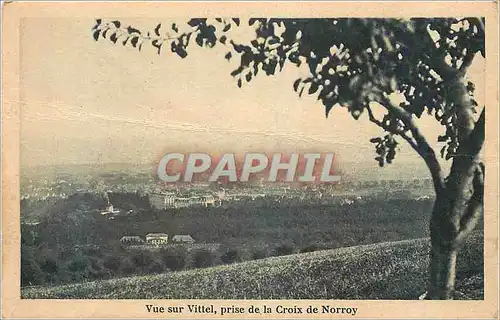 Cartes postales Vue sur Vittel prise de la Croix de Norroy