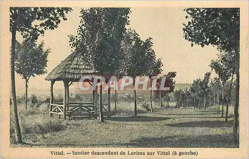 Cartes postales Vittel Sentier descendant de Lorima sur Vittel (a Gauche)