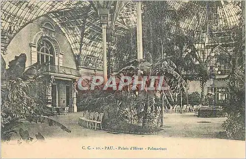 Cartes postales Pau Palais d'Hiver Palmarium