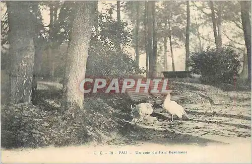 Ansichtskarte AK Pau Un Coin du Parc Beaumont