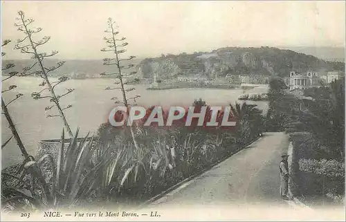 Cartes postales Nice Vue vers le Mont Boron