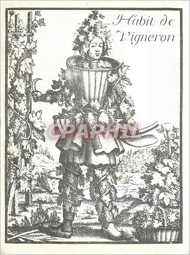 Cartes postales Habit de Vigneron Exceptionnel Offre Gratuite Valable 15 Jours Les ceps de Majorque Rue de la Vi