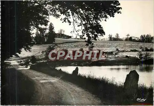 Moderne Karte Larajasse (Rhone) alt 829 m Un Joli Coin de l'Etang de la Fay