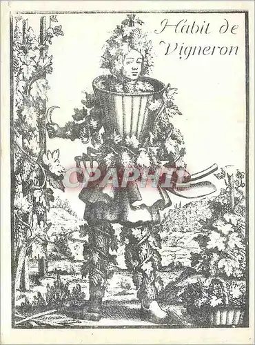 Cartes postales Habit de Vigneron Exceptionnel Offre Gratuite Valable 15 Jours Les ceps de Majorque Rue de la Vi