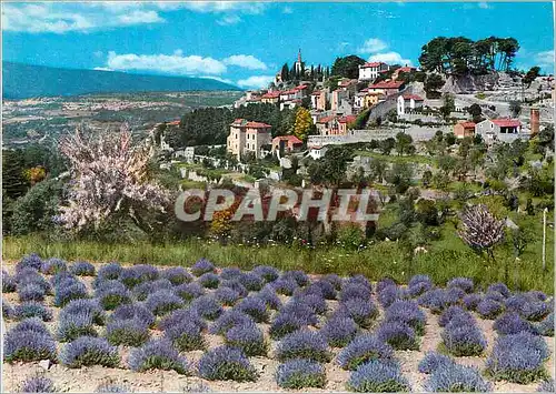Cartes postales moderne Provence Vieux Village et Champ de Lavande