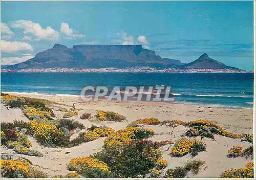 Cartes postales moderne Blouberg Beach Splashed with Spring Colour