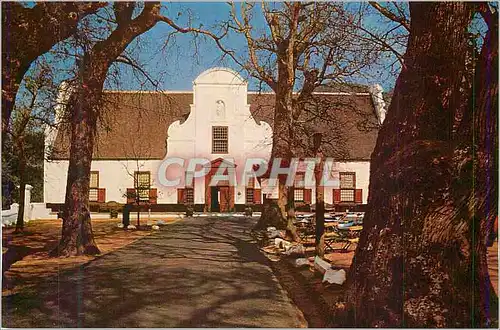Cartes postales moderne A Winter Sunlit Picture of Groot Constantia Cape