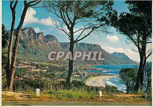 Cartes postales moderne Camps Bay on the Atlantic Coast Cape Peninsula South Africa