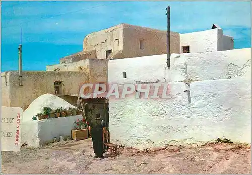 Cartes postales moderne Santa Eulalia Del Rio (Ibiza) Maisons Typiques a Puig de Missa