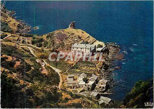 Cartes postales moderne Pino Charmes et Couleurs de la Corse La Marine de Scalo