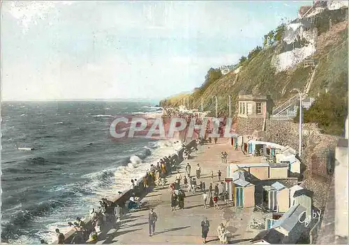 Cartes postales moderne Granville (Manche) Le Plat Gousset