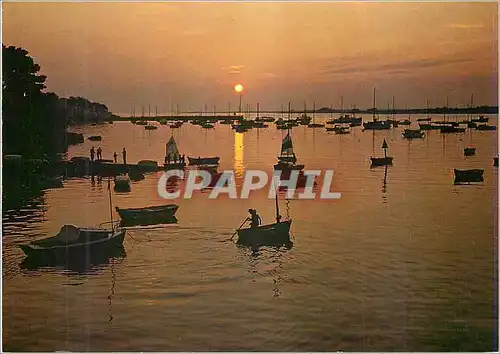 Cartes postales moderne La Bretagne Pittoresque Coucher de Soleil sur la Baie a Port navalo Presqu'ile de Rhuys