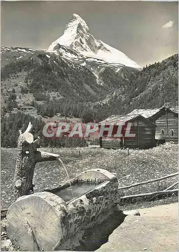 Cartes postales moderne Zermatt Winkelmatten u Malterhorn