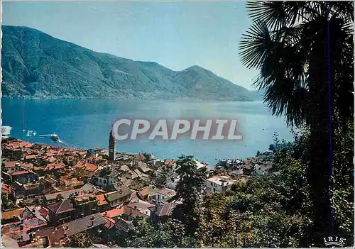 Cartes postales moderne Ascona Veduta Generale