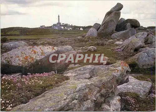 Cartes postales moderne Ile de Batz (Finistere) Enez Baz la Bretagne en Couleur Au Coeur de l'Ile Armeries en Fleur parm