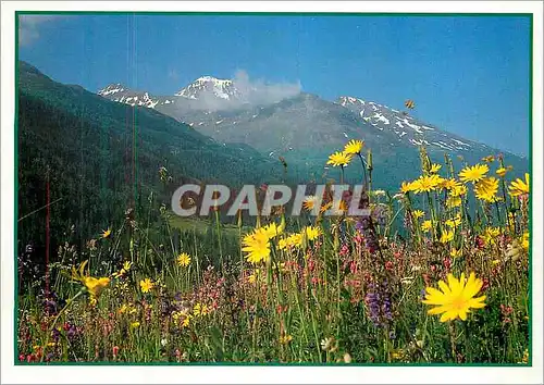 Cartes postales moderne Images de nos Montagnes en Ete