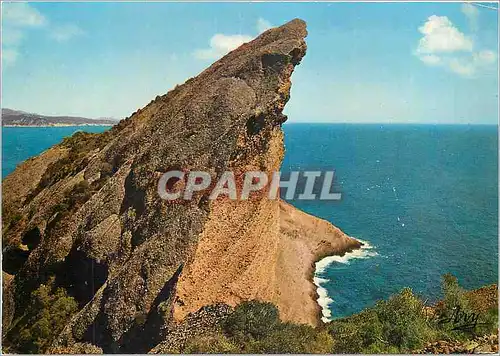 Cartes postales moderne La Ciotat (B du R) Cote d'Azur Rocher du Bec de l'Aigle