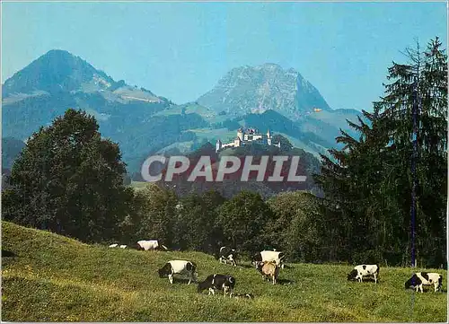 Cartes postales moderne Troupeau au Paturage Auf der Weide