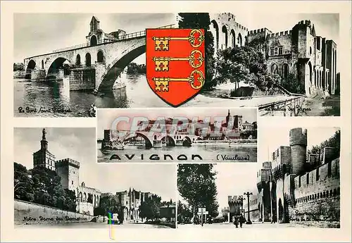 Cartes postales moderne Souvenir d'Avignon (Vaucluse)