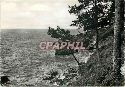 Moderne Karte Ile de Noirmoutier (Vendee) Bois de la Chaize L'Anse St Philibert par Grande Maree