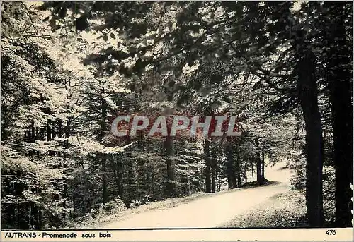 Moderne Karte Autrans Promenade sous bois