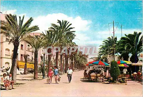 Cartes postales moderne Lioret de Mar (Costa Brava) Promenade de la Mer