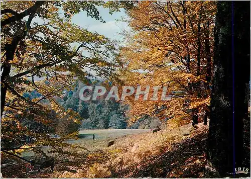 Moderne Karte Le Limousin Pittoresque Entre Bugeat et Meymac Melancolie de l'Automne