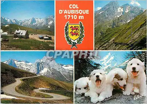 Moderne Karte Col d'Aubisque 1710 m Pyrenees Atlantiques Chiens des Pyrenees