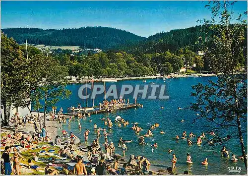 Cartes postales moderne Gerardmer Les Vosges Pittoresques L'Heure du Bain