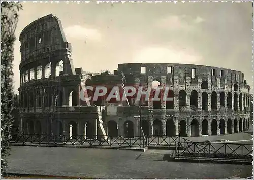 Moderne Karte Roma Il Colosseo