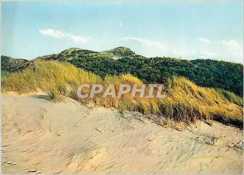 Cartes postales moderne Les Dunes