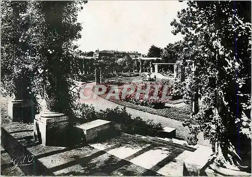 Cartes postales moderne Clermont Ferrand L'Auvergne Jardin des Plantes La Roseraie