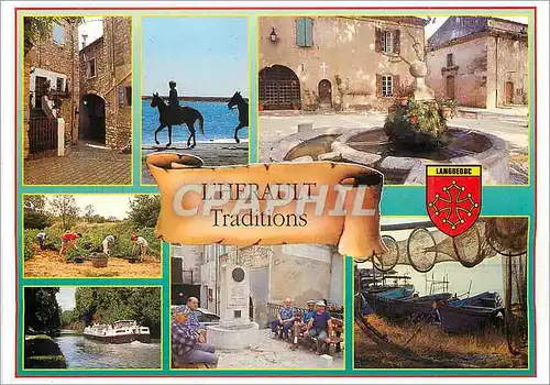 Cartes postales moderne L'Herault Traditions